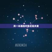另一半是指对象还是夫妻，最佳配偶是什么