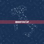 属蛇的今年几岁，属蛇几岁今年几岁