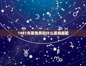 1987年属兔男和什么属相最配，87属兔更佳配偶