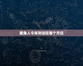 属兔人今年财运在哪个方位，1963年58岁属兔2023年的财运在哪个方