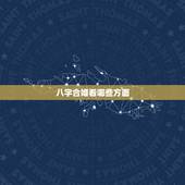 八字合婚看哪些方面，八字合婚主要看什么 看日柱