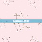 生肖蛇2022年财运，2022年蛇的婚姻