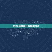 1972年鼠和什么属相合适，1972年是什么鼠