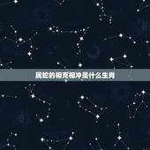 属蛇的相克相冲是什么生肖，属蛇和什么生肖最配