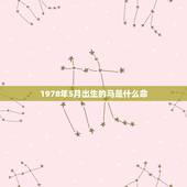 1978年5月出生的马是什么命，属马1978年5月20生2015是什么