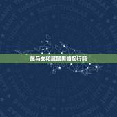 属马女和属鼠男婚配行吗，属相婚配：男属马和女属鼠相配吗？