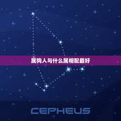 属狗人与什么属相配最好，属狗配什么属相最好