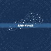 发财树养护方法，发财树的养殖方法和注意事项分别是？