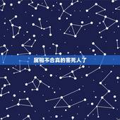 属相不合真的害死人了，遇到属相不合的，但情投意合的人，究竟该如何取舍？