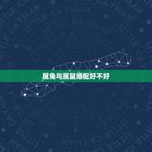 属兔与属鼠婚配好不好，属兔和属鼠相配吗？为什么？