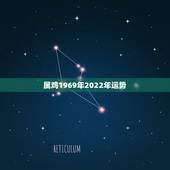 属鸡1969年2022年运势，1969年2021年属鸡人的全年运势