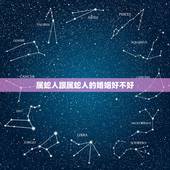 属蛇人跟属蛇人的婚姻好不好，属蛇男人更佳妻子