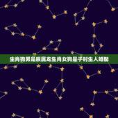 生肖狗男是辰属龙生肖女狗是子时生人婚配，生肖属狗的能与哪些属相婚配