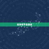 名字合不合测试，测试名字好不好