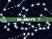 属蛇的财运好不好，生肖蛇几月出生财运旺