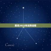 属龙2022年运势运程，2021年属龙人的运势及运程？
