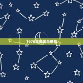 1978年男属马感情，1978年出生的马2o17感情运