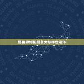 属猪男婚配属鼠女怎样合适不，属鼠和属猪的相配吗