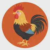 1981年属鸡与什么属相相克：81年属鸡的和什么属相最配、相克