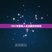 1987年属兔人永远最旺的颜色，1987年属兔的幸运数字和颜色