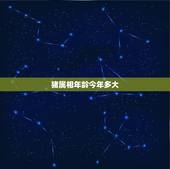 猪属相年龄今年多大，蛇属相年龄今年多大