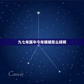九七年属牛今年婚姻怎么样啊，九七年属牛的跟九一年属羊的婚姻真的不好吗
