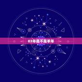 03年是不是羊年，什么时候羊历年