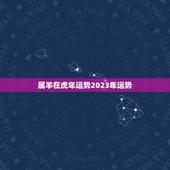 属羊在虎年运势2023年运势，属虎2022年运势及运程每月运程