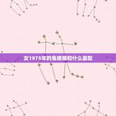 女1975年的兔婚姻和什么最配，乙卯年兔的更佳婚配