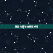 属鼠和属羊的结婚好吗，两个属鼠的结婚好吗