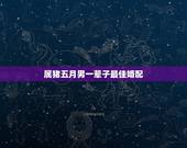 属猪五月男一辈子最佳婚配，属相婚配：男属猪和女属猪相配吗