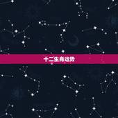 十二生肖运势，十二生肖运程2021年运势每月运程
