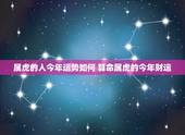 属虎的人今年运势如何 算命属虎的今年财运