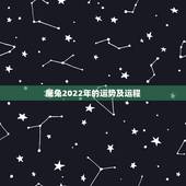 属兔2022年的运势及运程，2022年属兔人的全年运势