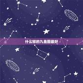 什么样的九鱼图最好，玄关挂什么画风水好，挂九鱼图好么？