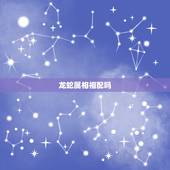龙蛇属相相配吗，龙和鼠属相相配吗