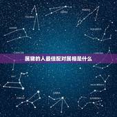 属猪的人最佳配对属相是什么，猪和什么属相最配