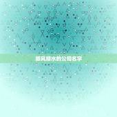 顺风顺水的公司名字，谁帮我想个顺风顺水的名字