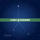63年兔十月半后财运如何，生肖兔一生的财运运势