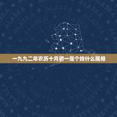 一九九二年农历十月初一是个找什么属相，九二年农历十月初一生肖流年运程