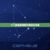 十二星座属相图片壁纸白羊座，我想要关于塔罗牌和12星座、生肖的详细资料