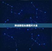 转运微信头像图片大全，微信头像放什么样的照片才能让大客户注意呢？