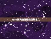1982属狗的好运微信取名女，属狗微信起什么名字招财 取个微信的名字