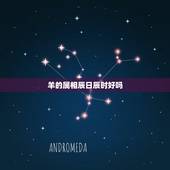 羊的属相辰日辰时好吗，属羊出生辰时和午时人结婚合适吗