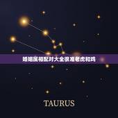 婚姻属相配对大全很准老虎和鸡，老虎和鸡相配婚姻如何虎和鸡相克吗
