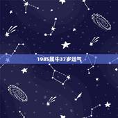 1985属牛37岁运气，85年属牛的灾难年龄