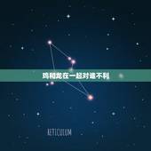 鸡和龙在一起对谁不利，鸡和龙做夫妻合不合