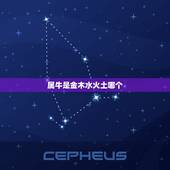 属牛是金木水火土哪个，属牛五行属什么
