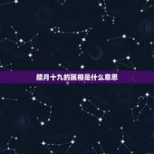 腊月十九的属相是什么意思，94年腊月19生日是什么属相