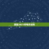 属鼠2021年每月运势，属鼠人2021年全年运势详解？